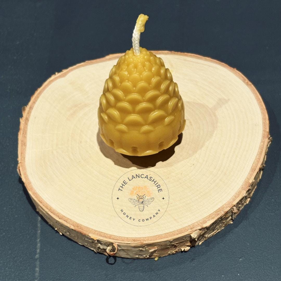Handmade Pinecone Beeswax Candle - 3" Natural Candle in Christmas Grotto Gift Box