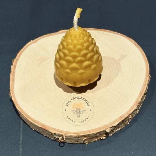 Handmade Pinecone Beeswax Candle - 3" Natural Candle in Christmas Grotto Gift Box