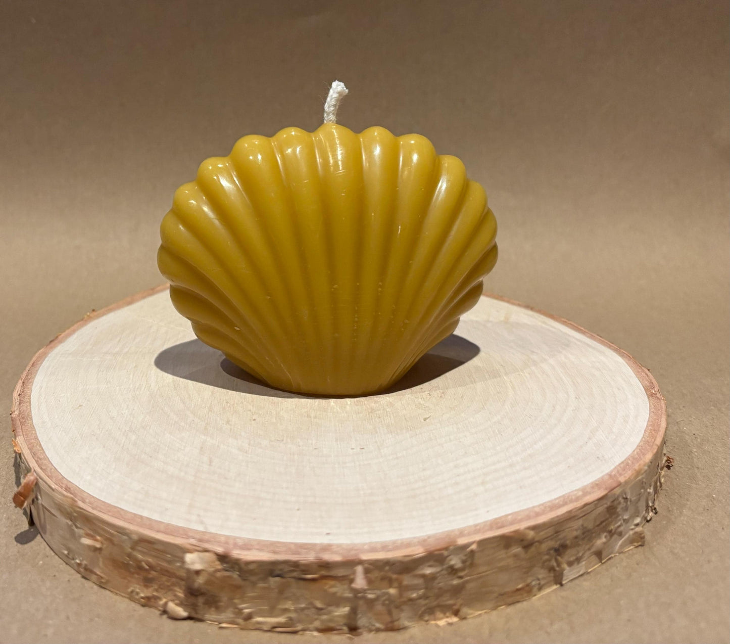 Handmade Scallop Shell Beeswax Candle