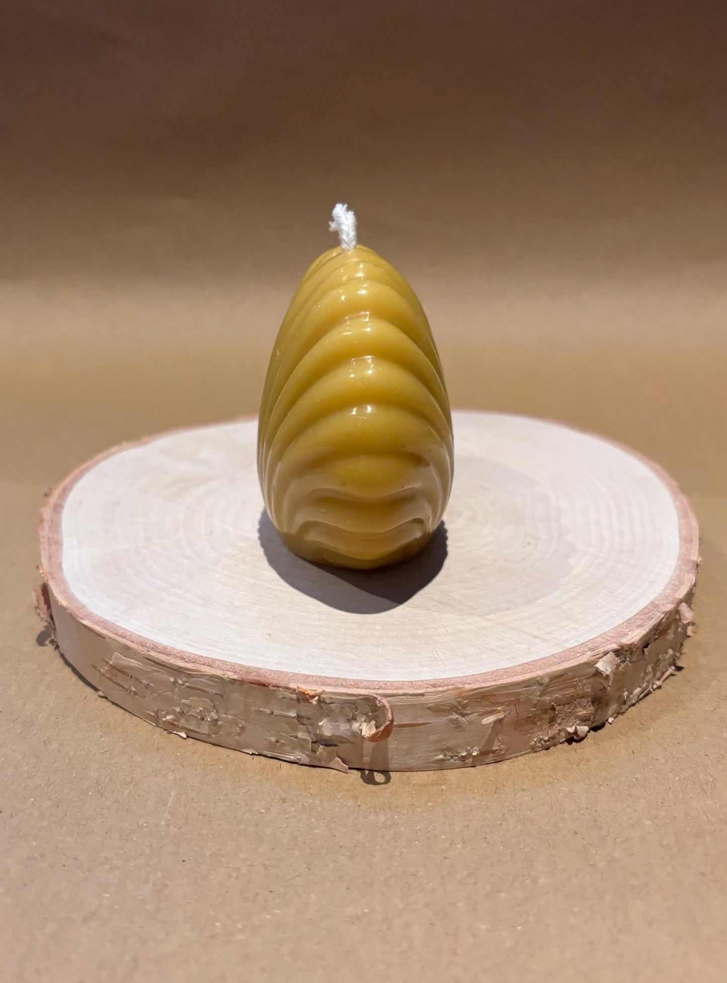 Handmade Scallop Shell Beeswax Candle