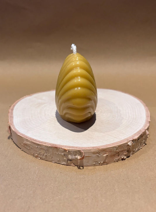 Handmade Scallop Shell Beeswax Candle