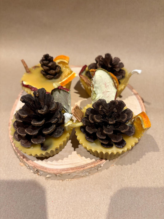 Natural Firelighters Pinecone Kindling (6-Pack) | Beeswax & Gentle Cosy Fireplace Scent