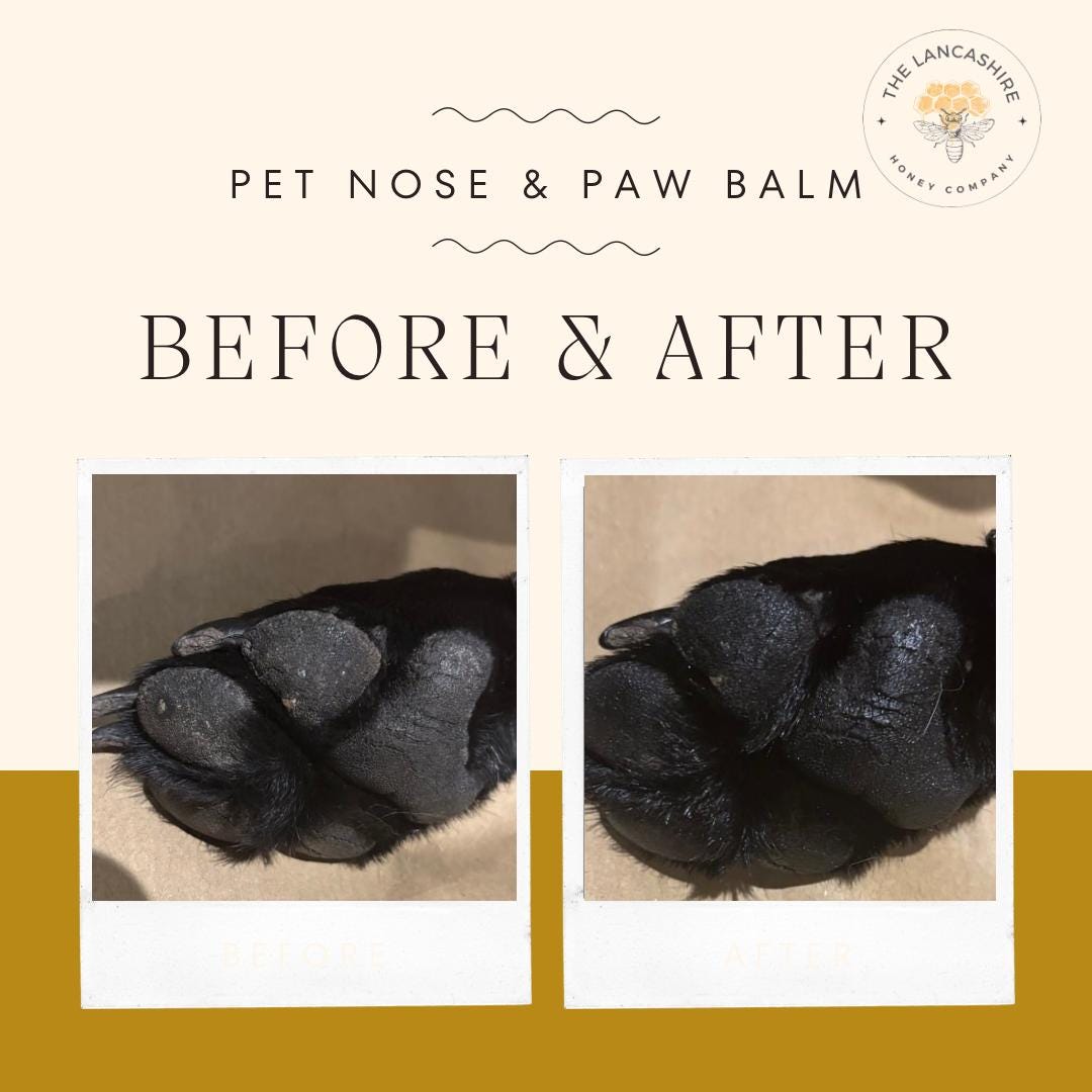 All-Natural Beeswax Dog Paw and Nose Balm - Travel-Size Relief & Protection